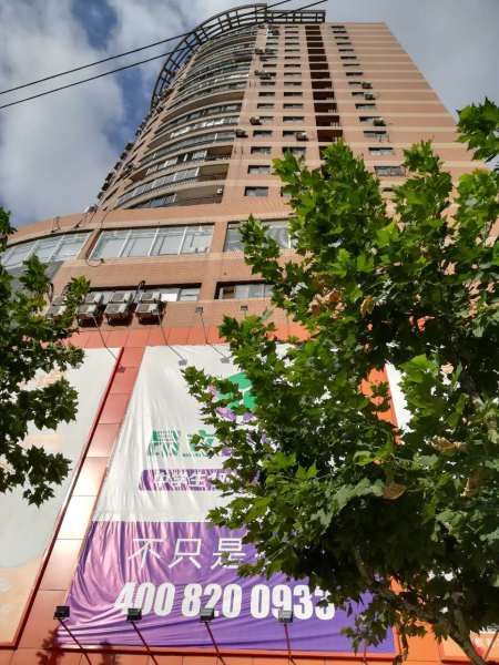曹杨路地铁 金阳大厦 正对电梯口 行业不限,朝南