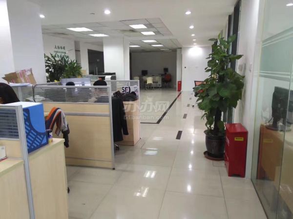 外高桥国际酒类交易中心写字楼出租,国际进出