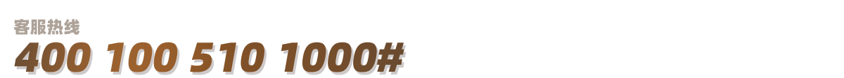 6618 6133