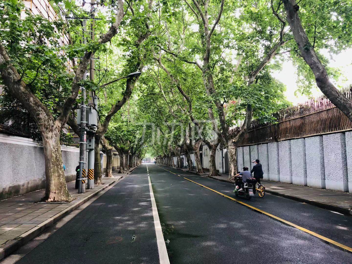 上班族午休闲逛系列三——去余庆路感受上海特有的气质