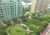高层景观