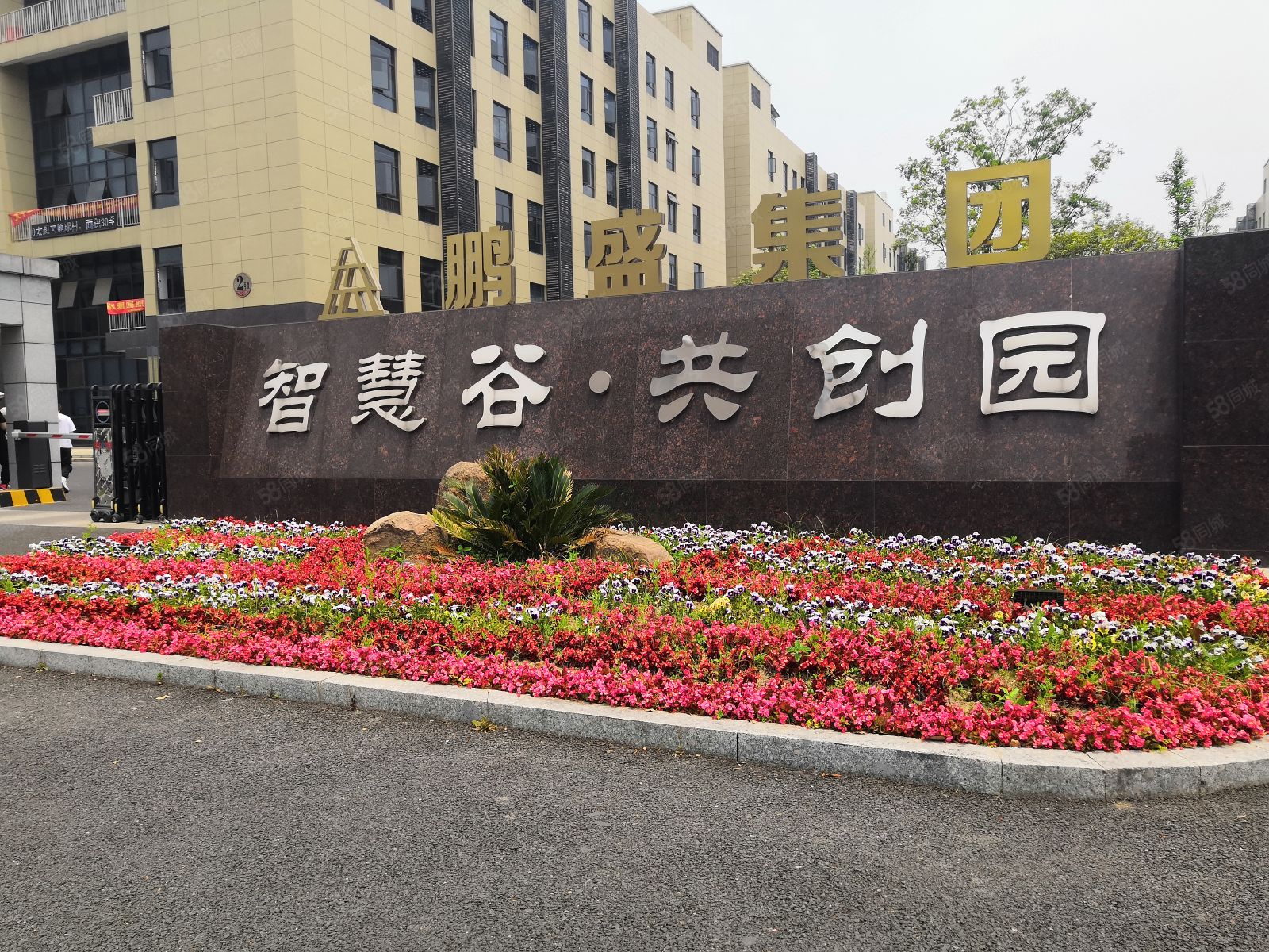 一楼260方，近秋石高架，装卸货方便好招人