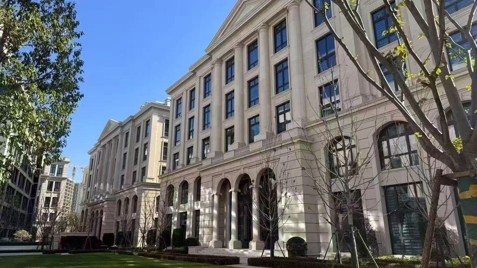 松江法式独栋集研发仓储生产办公于一体，仅售一万多外立面