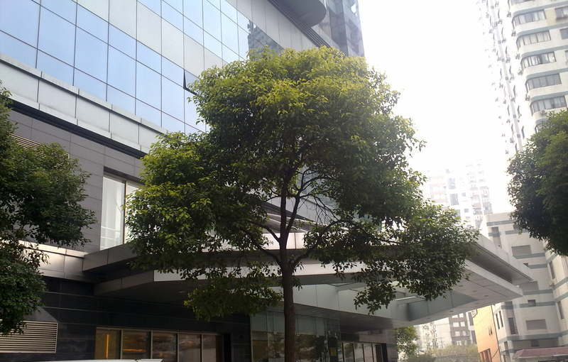 飞洲时代大厦周边环境图