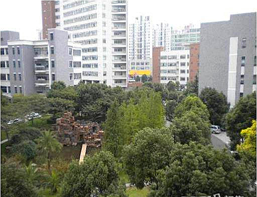漕河泾凤凰园
