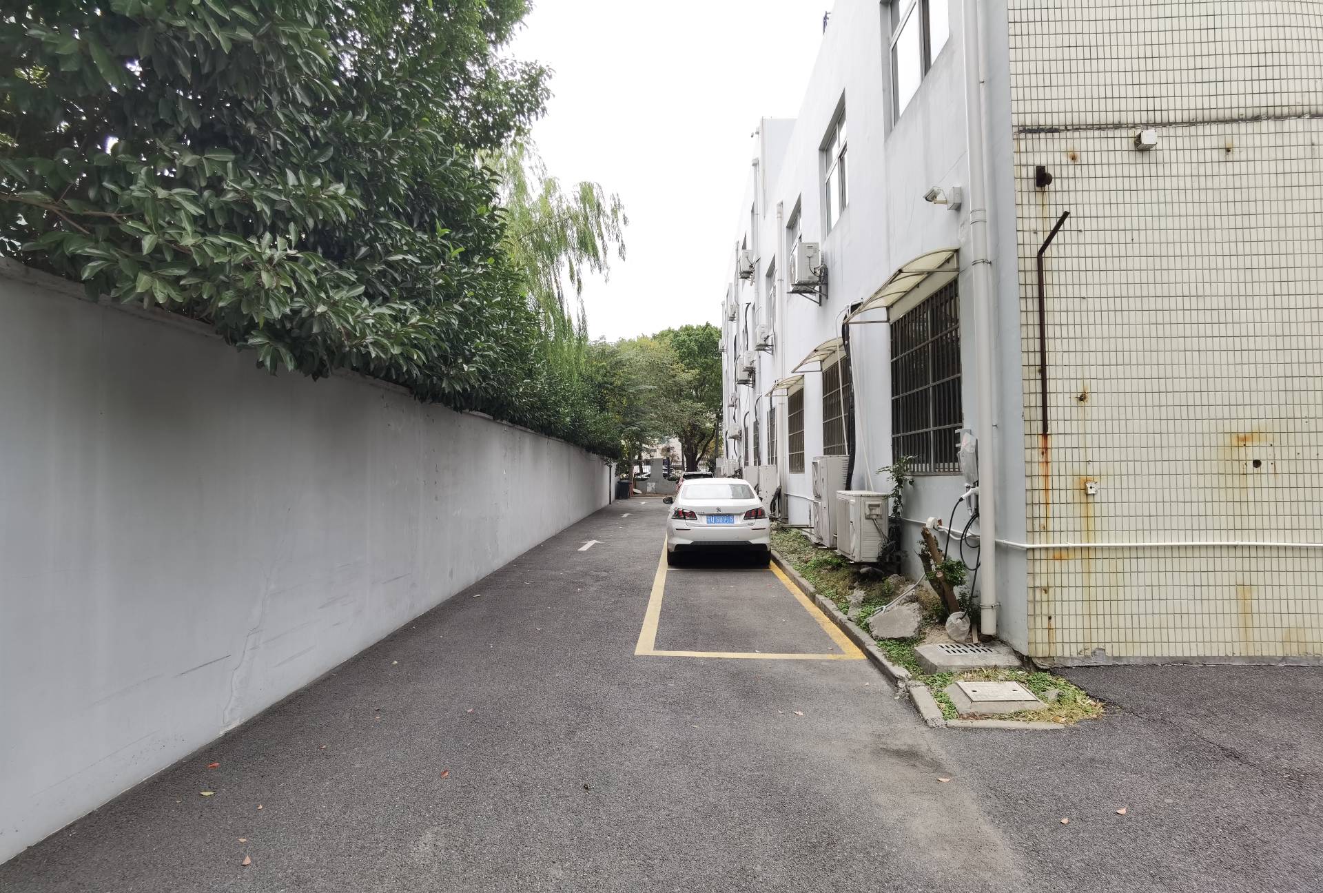长视创业园