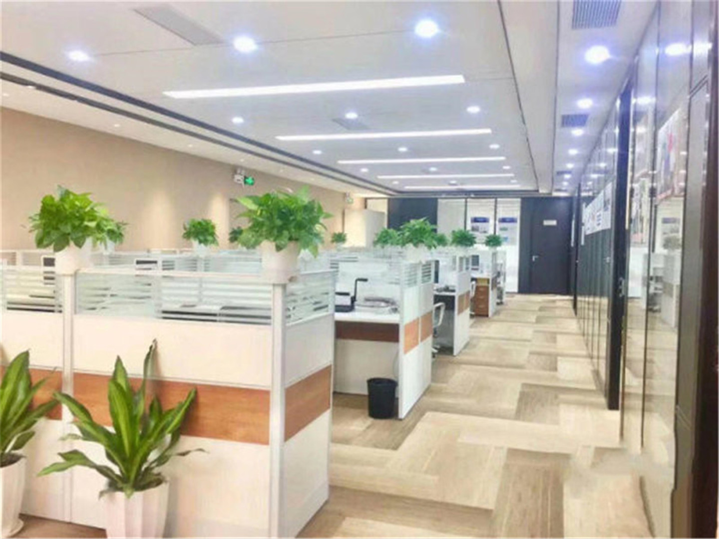 中国红街办公区域