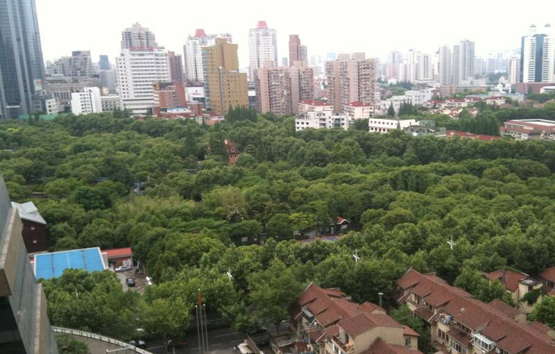 坤阳国际商务广场高层景观