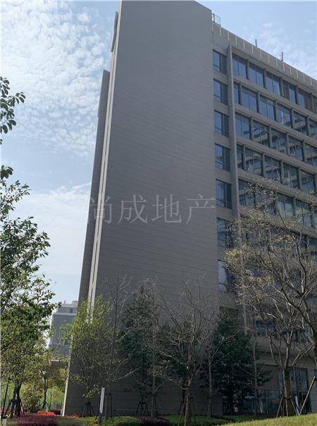 金创大厦