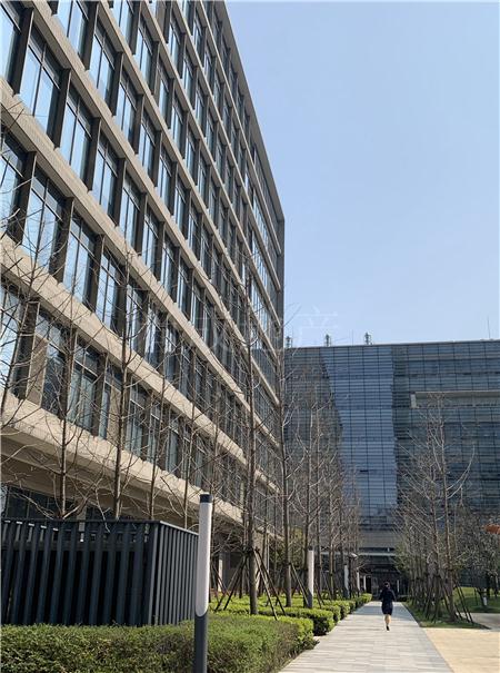 金创大厦