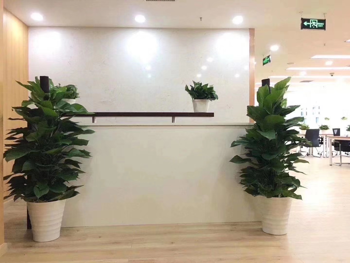 顺迈金钻办公区域