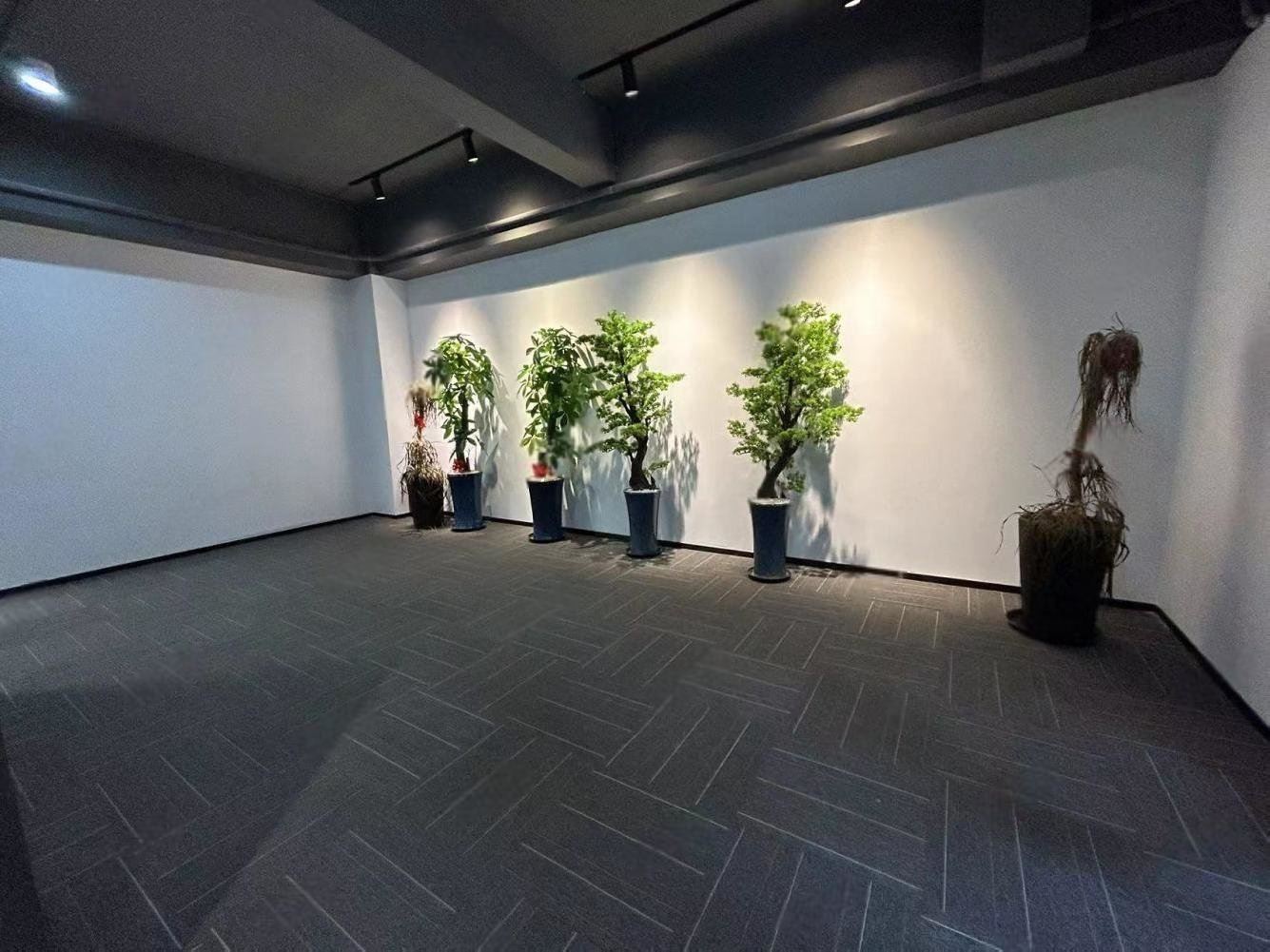 南翔智地越界产业园室