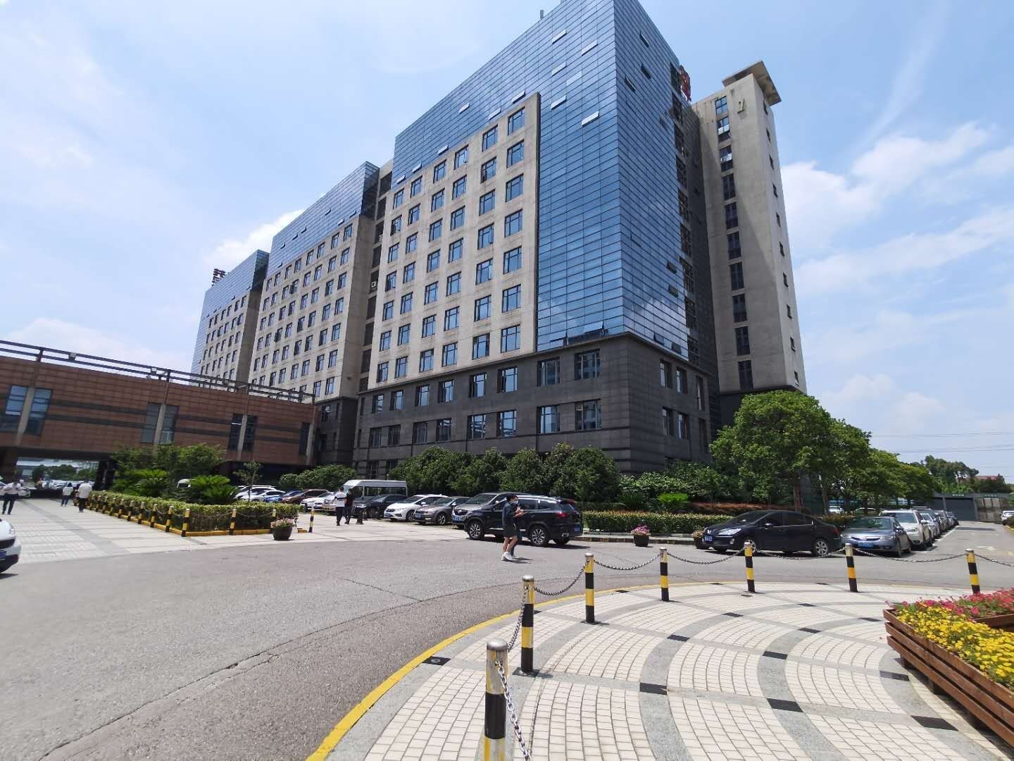 张江集电港