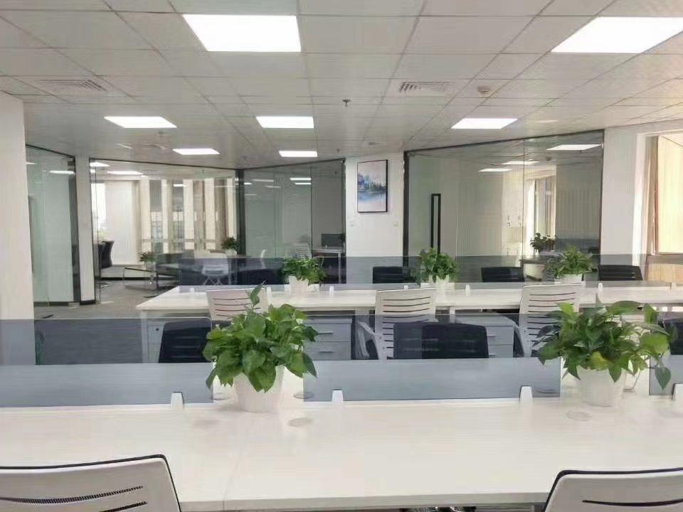 智贸E园