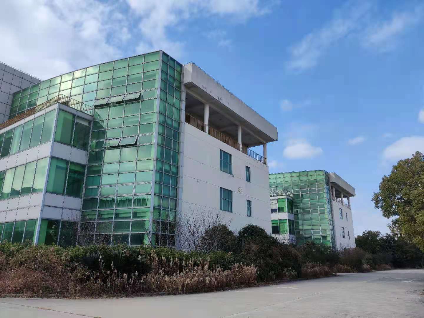 上海国际医学园区