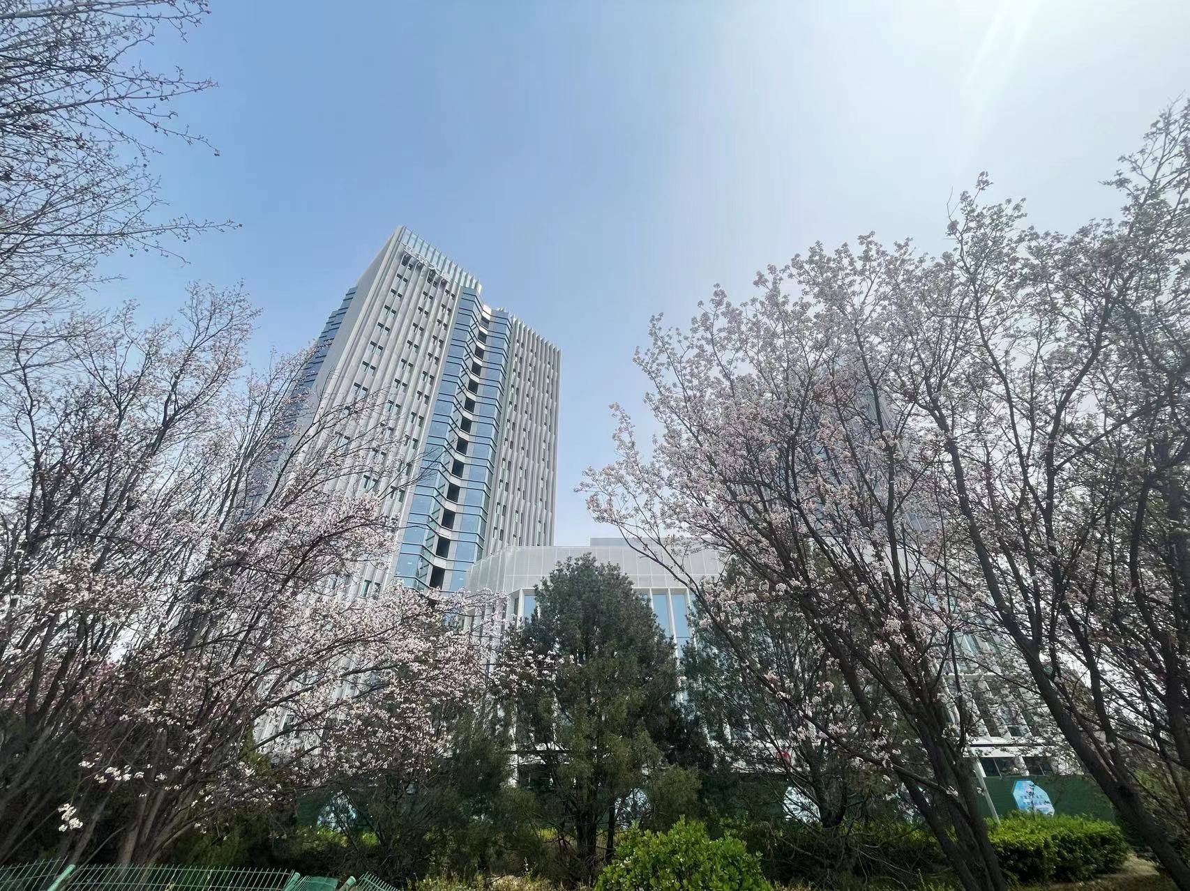 望京大厦