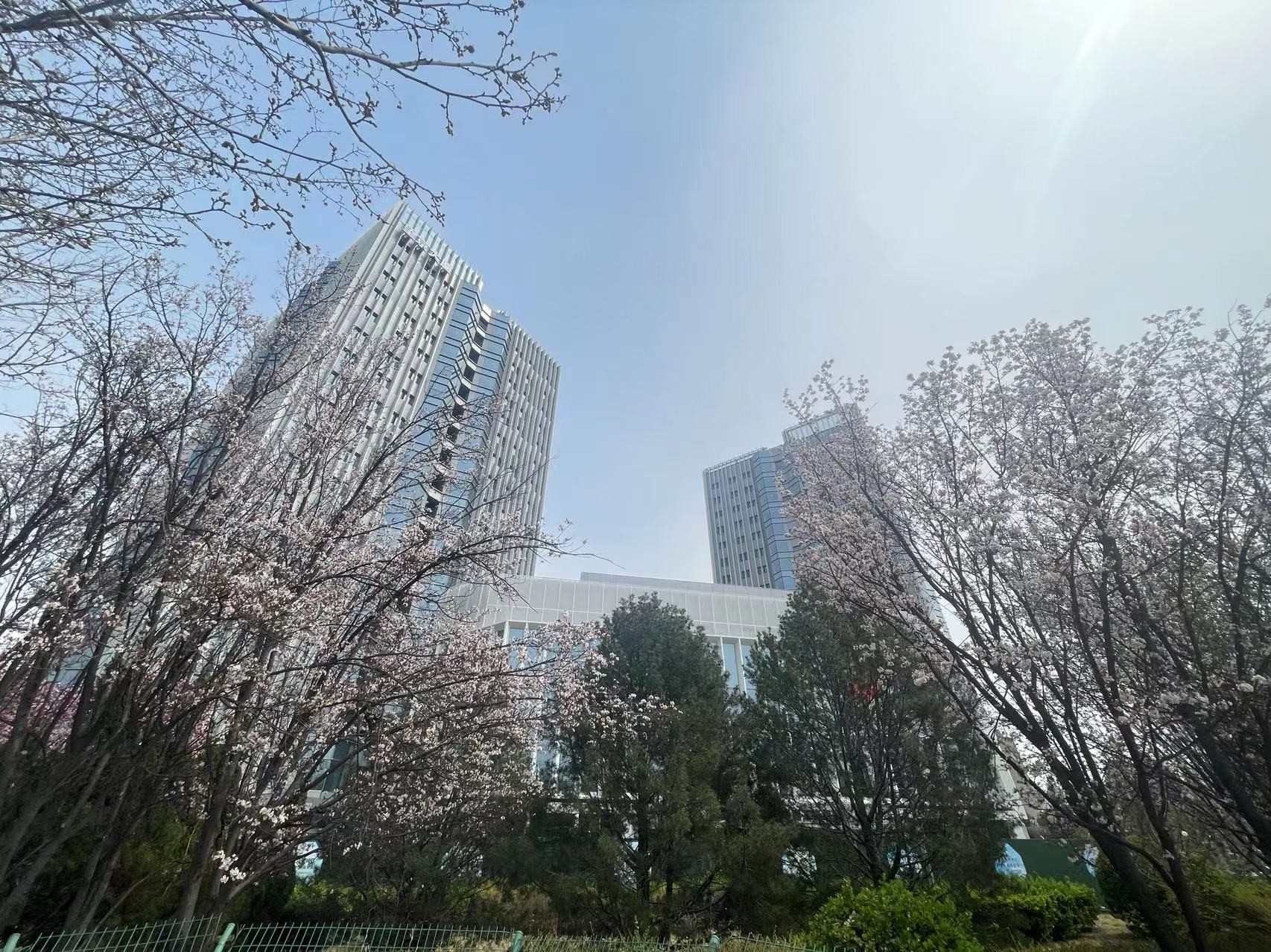 望京大厦