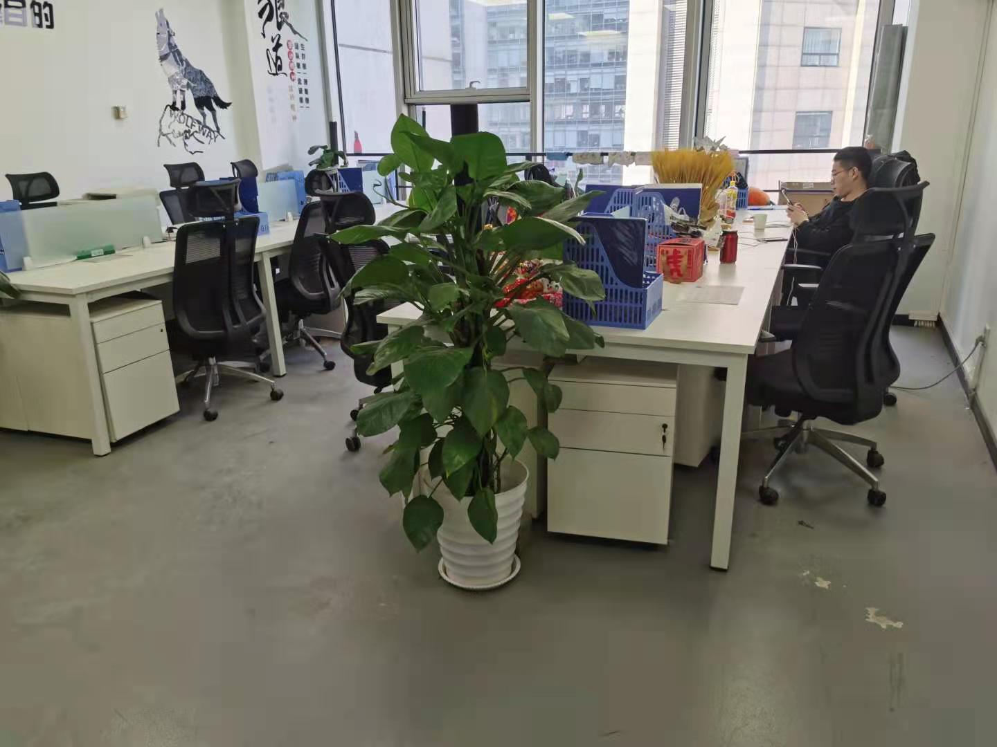 蓝堡国际中心办公区域
