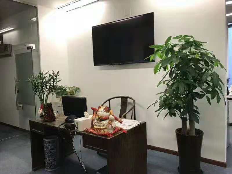 新虹桥中心大厦办公区域