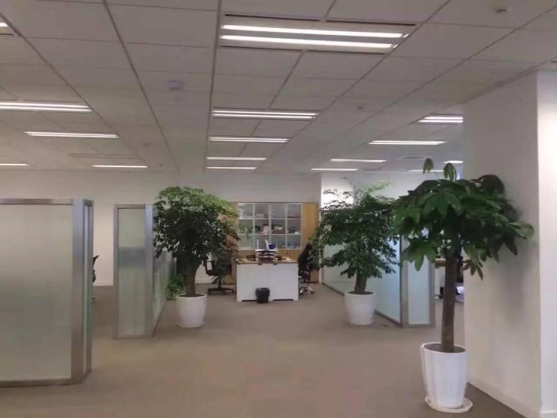 新桥商务中心写字楼出租,精装带隔断990平,朝南,抢手房,稀缺.