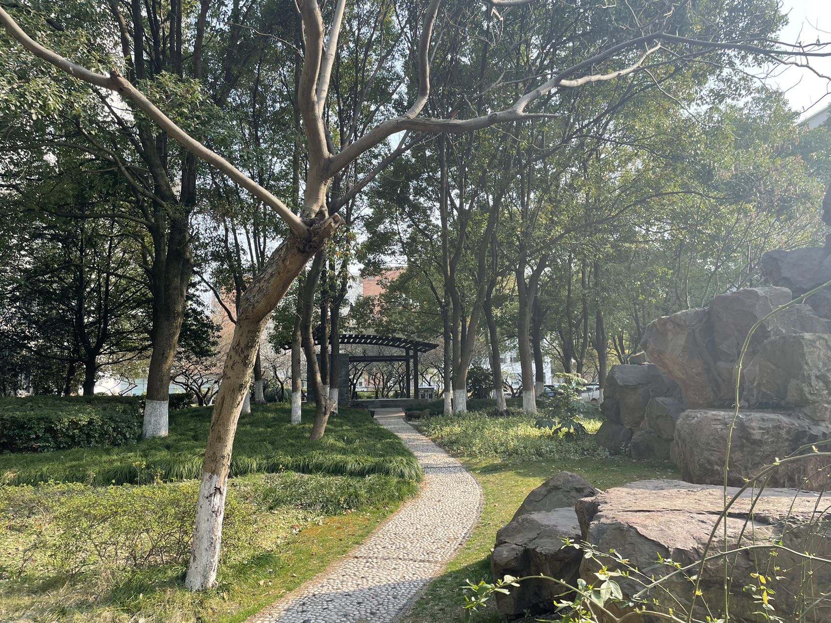 上海光大会展中心