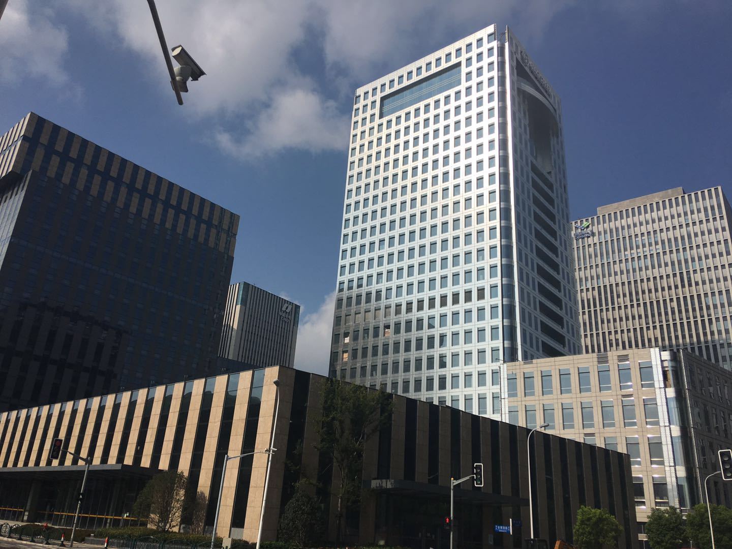 鲁能国际中心