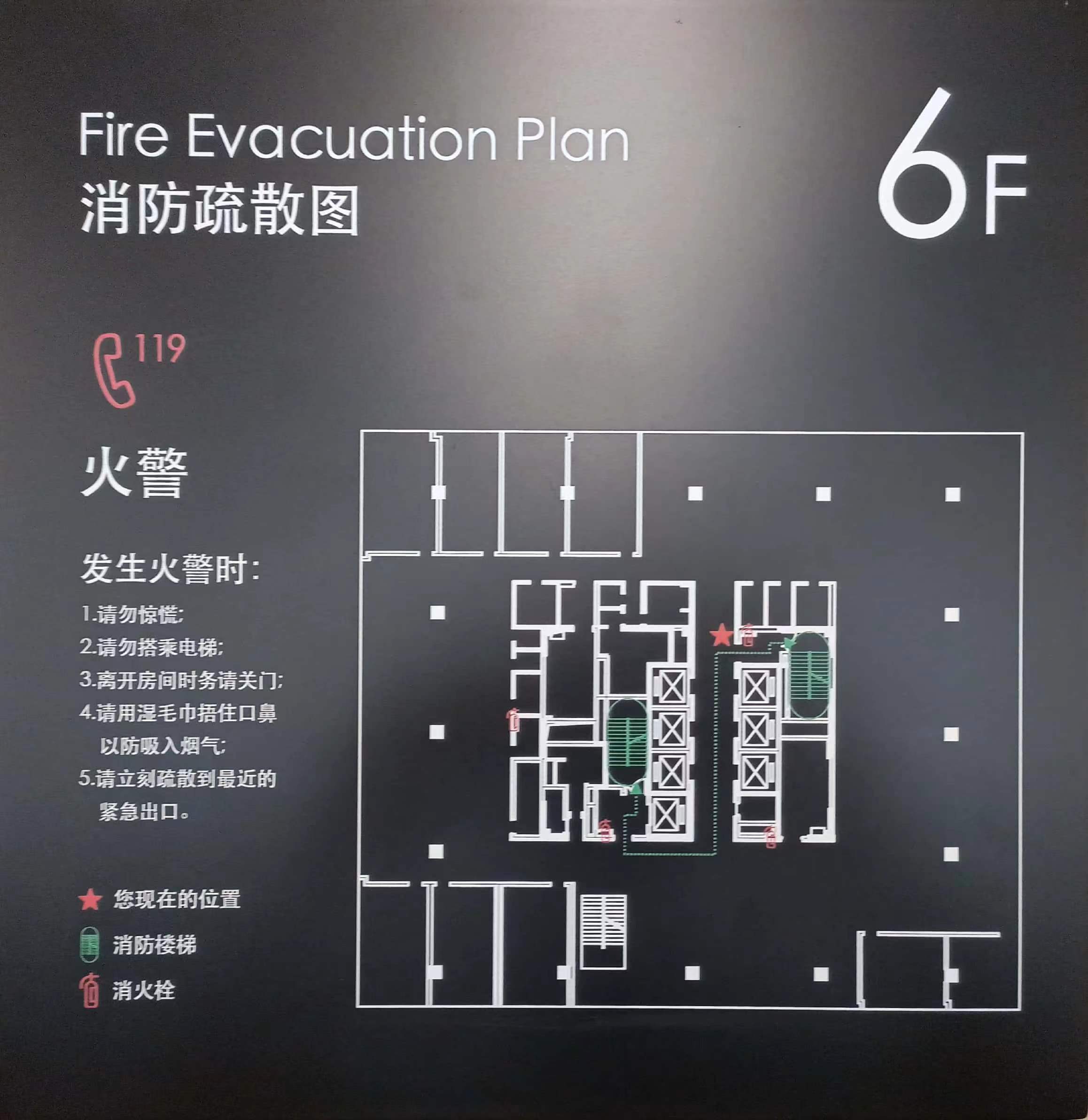 雪松中心