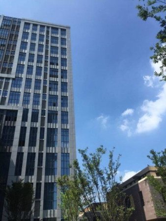 写字楼出租信息 闵行写字楼出租 浦江写字楼出租 红星国际广场  2)