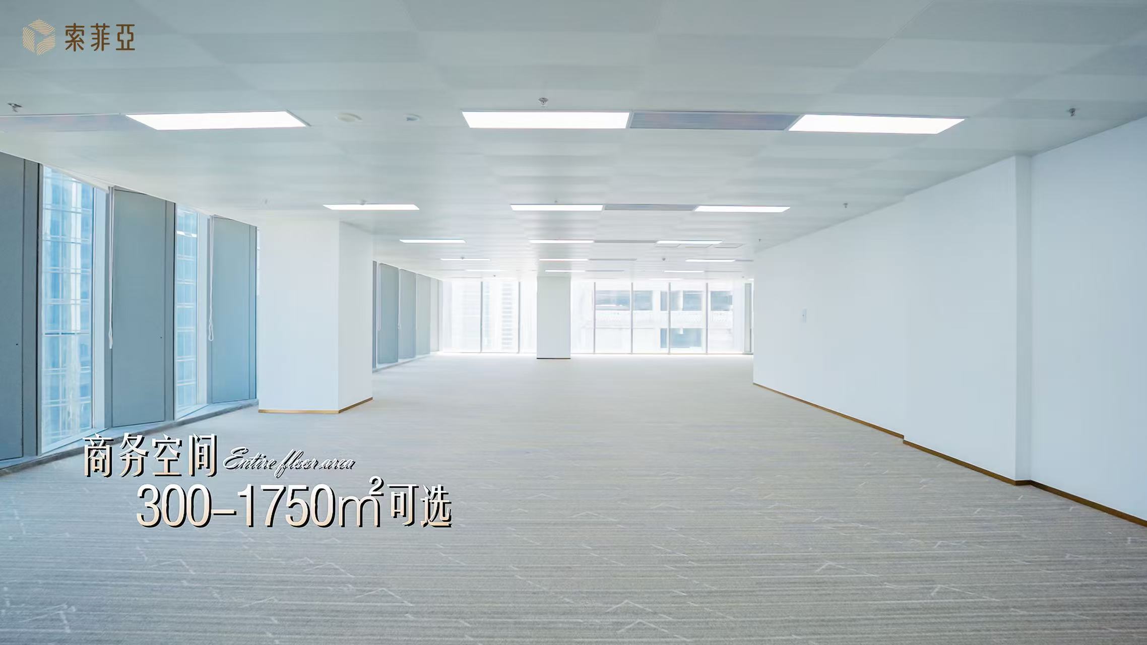 索菲亚发展中心