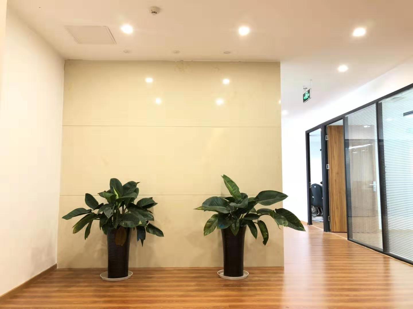 迪阳大厦办公区域