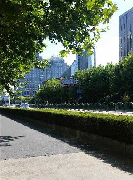 由由国际广场周边环境图