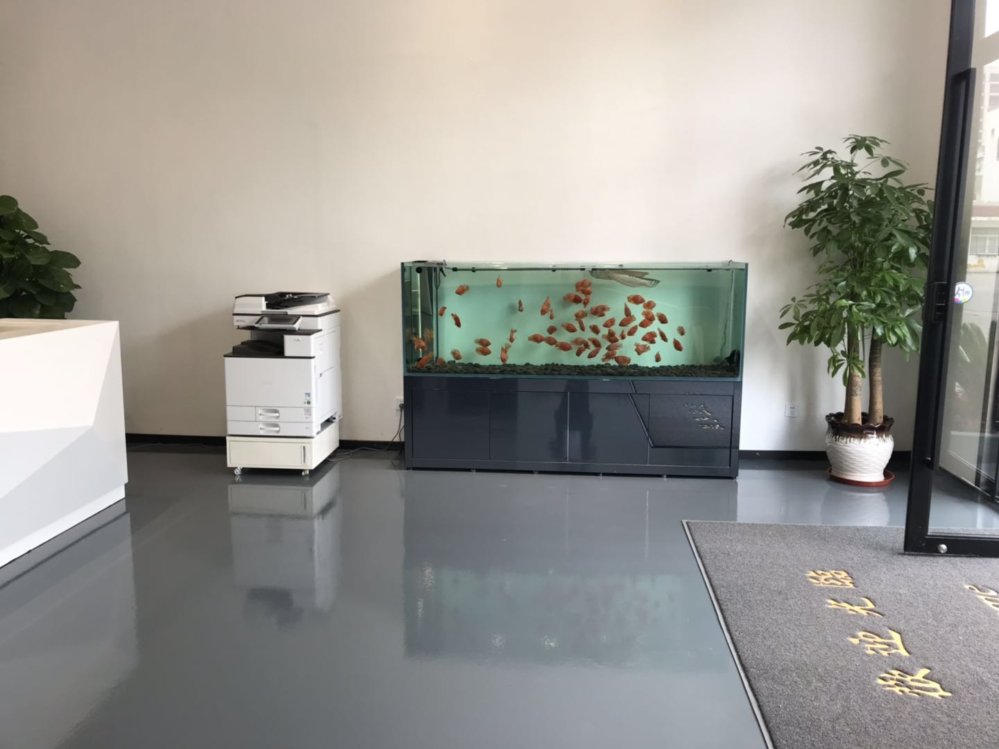芭洛商务中心写字楼出租,闵行春申路 大润发超市旁 芭洛商务楼40平