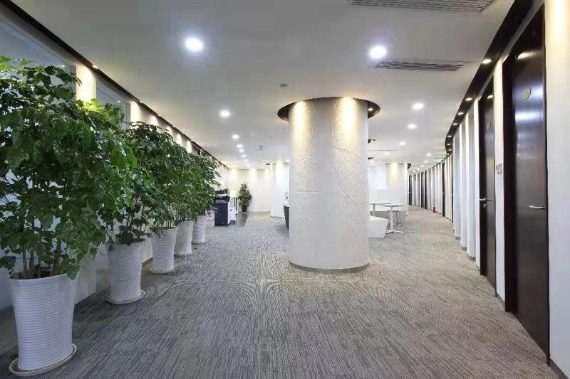 中期大厦楼内公共区域