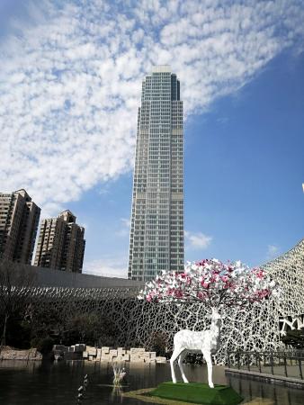 博华广场 静安全新5a写字楼 13号地铁上盖 360度全视野