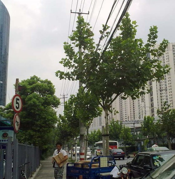 通联大厦周边环境图