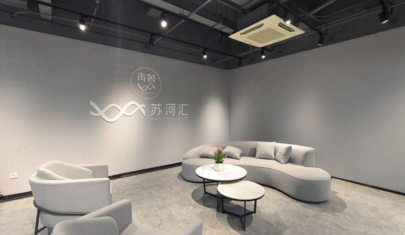 张江微电子港