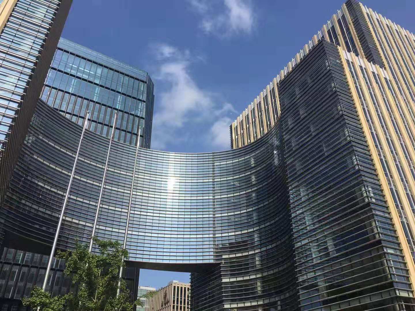 鲁能国际中心