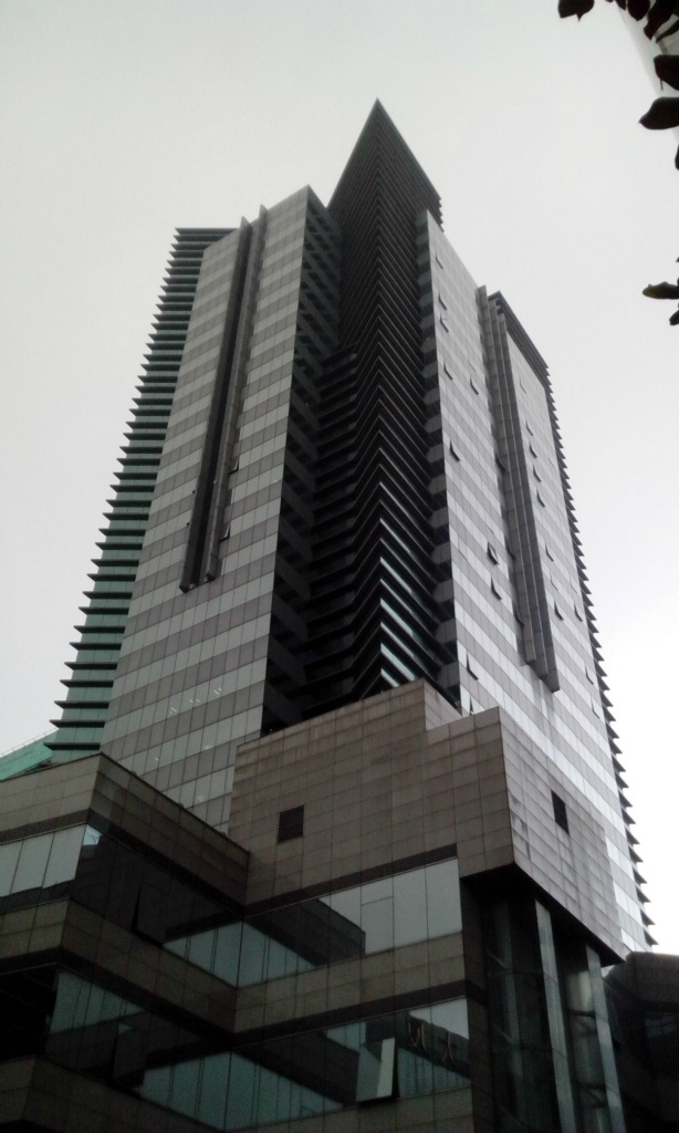 胜康廖氏大厦外立面图